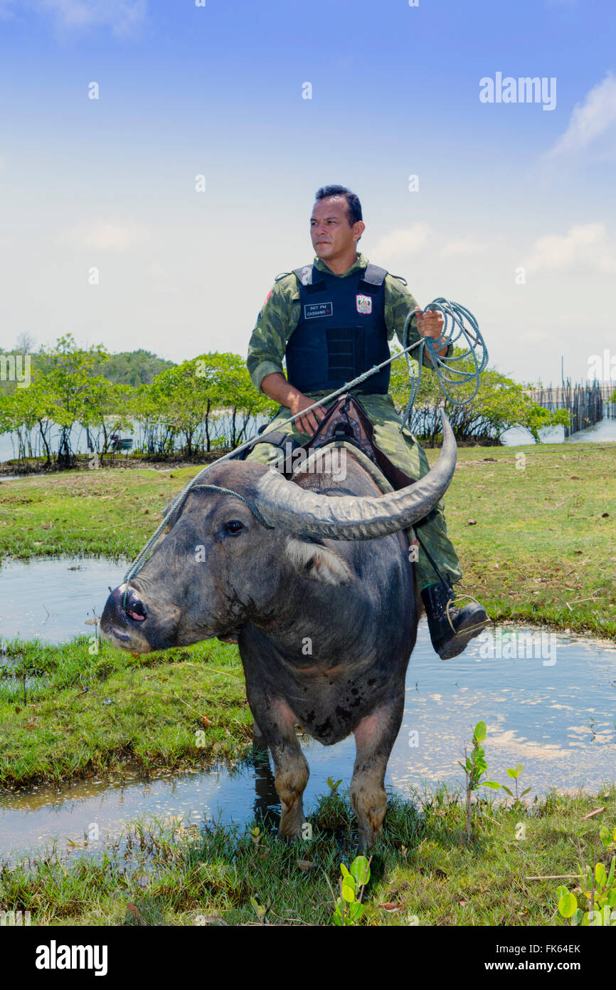 Bewaffnete Polizisten auf Büffel wieder auf der Insel Marajó im brasilianischen Amazonas, Para, Brasilien, Südamerika Stockfoto