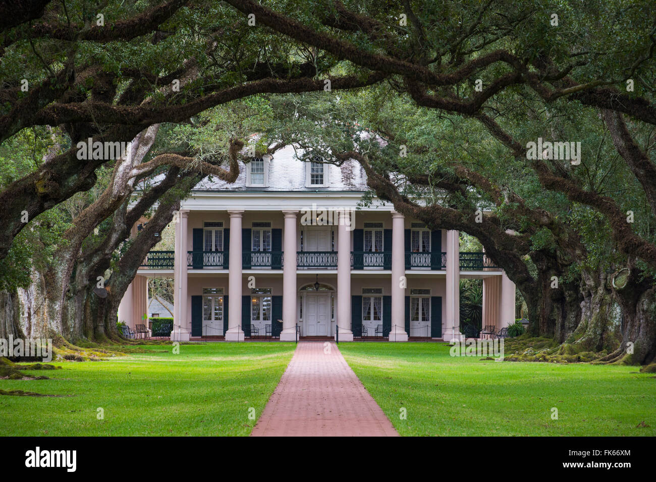 Eiche-Gasse und geglätteten Haus in die Oak Alley Plantation, Louisiana, Vereinigte Staaten von Amerika, Nordamerika Stockfoto