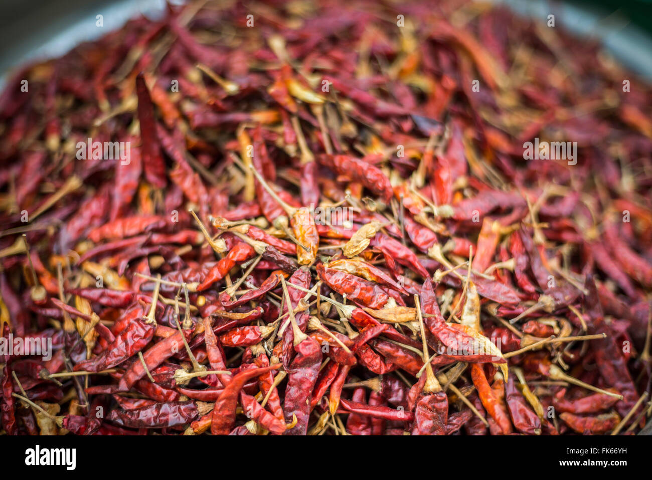 Chilischoten, Mrauk U Markt, Rakhine State in Myanmar (Burma), Asien Stockfoto