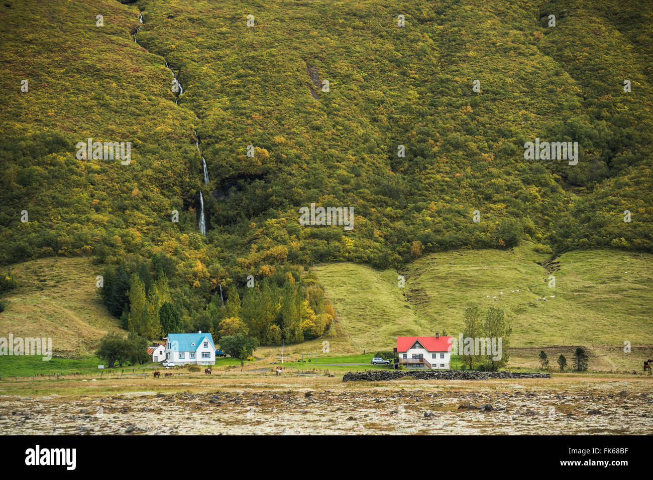Weiler in der Nähe von Vik, Region Süd (Sudurland), Island, Polarregionen Stockfoto