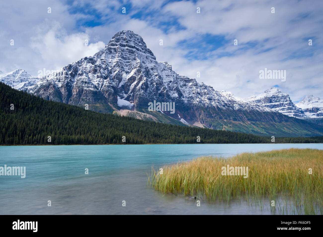 Schnee bestäubt Mount Chephren über Wasservögel Seen in den kanadischen Rocky Mountains, Banff National Park, UNESCO, Alberta, Kanada Stockfoto