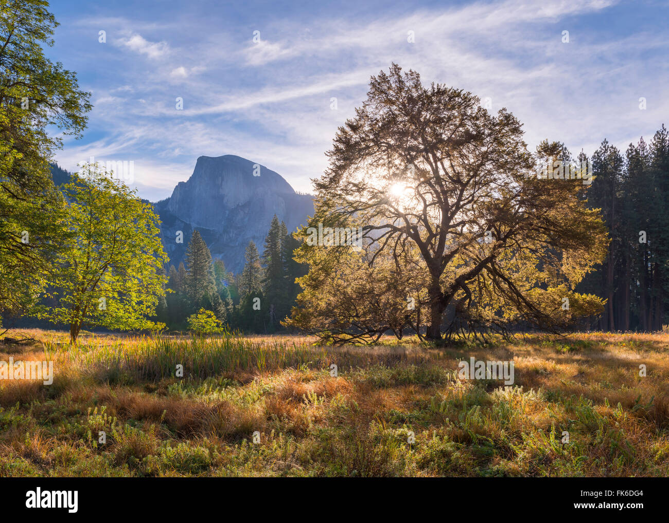 Half Dome von Cooks Wiese, Yosemite Valley, UNESCO World Heritage Site, California, Vereinigte Staaten von Amerika, Nordamerika Stockfoto