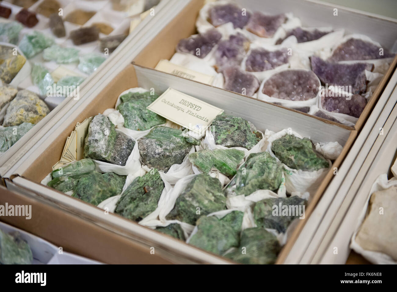 Diopsid grüne Kristalle Stück im Karton auf Warschau Mineral Expo 2016, 5. März, VI-Ausgabe-Veranstaltung im Palast PKiN, Polen Stockfoto