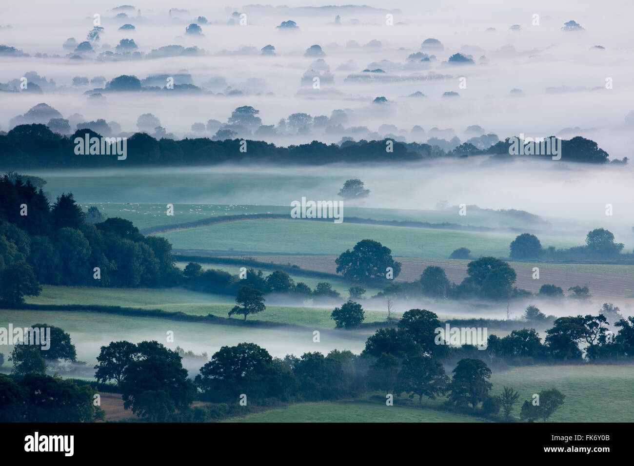 ein nebliger Morgen in Blackmore Vale, Dorset, England, Großbritannien Stockfoto