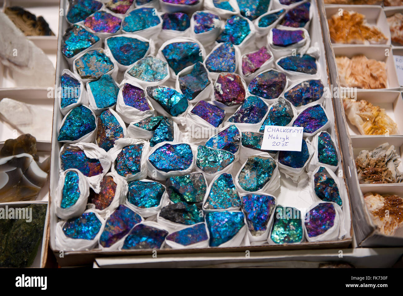 Blaue Chalkopyrit Steinen aus Mexiko Schaufenster zum Verkauf an Warschau Mineral Expo 2016, 5. März, VI-Ausgabe-Veranstaltung im Palast Stockfoto