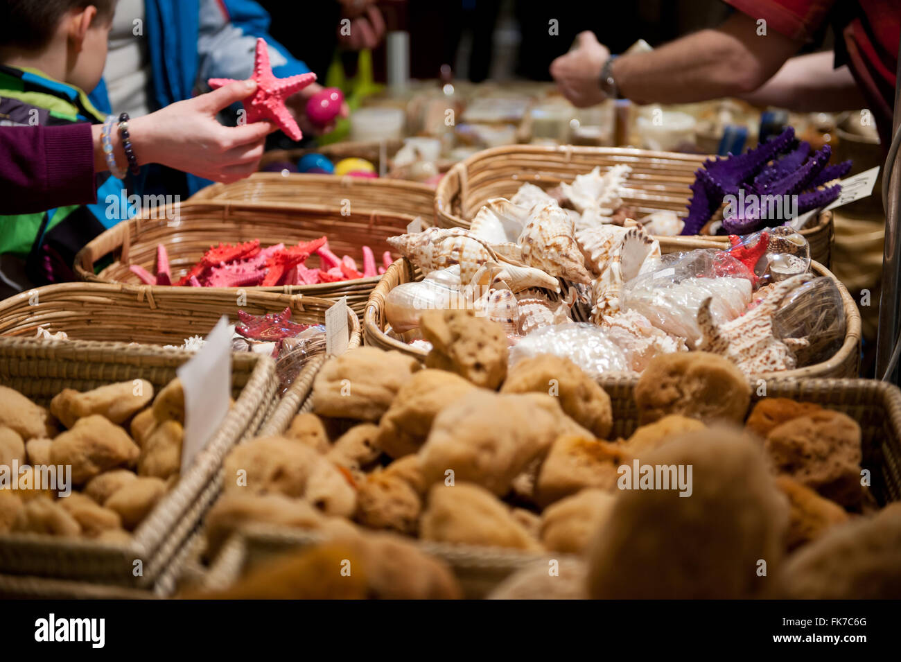 Kunden kaufen, Meerestiere, natürliche Schwämme, Muscheln und Seesterne liegen in Körbe zum Verkauf an Warschau Mineral Expo 2016, Polen Stockfoto