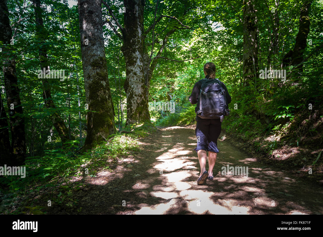 Wandern in den Urwäldern von Montenegro Stockfoto
