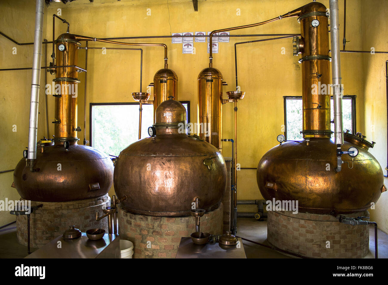 Destillation von Rohrzucker Prozess zur Herstellung von Schnaps Stockfoto