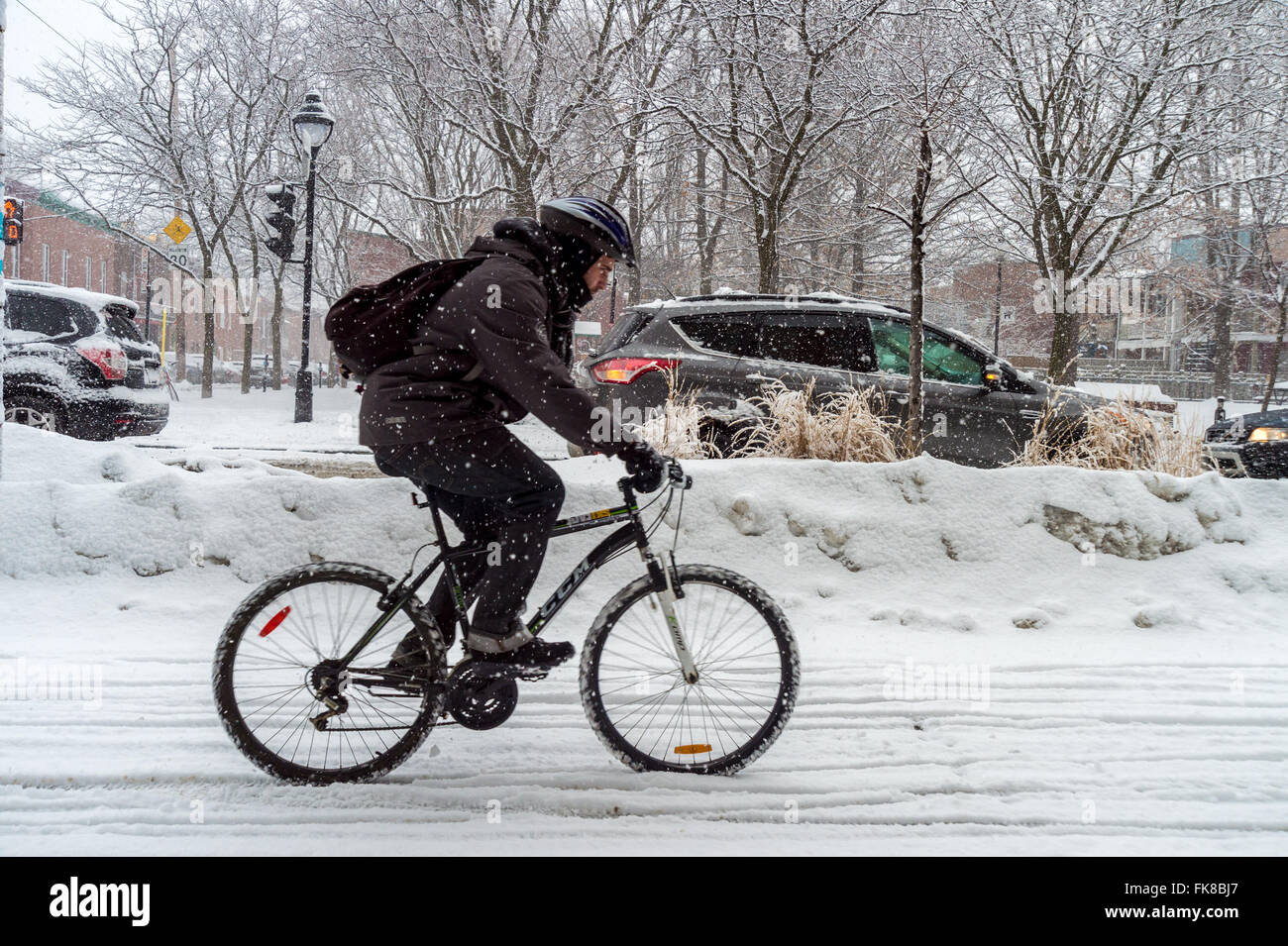 Montreal, CA, 7. März 2016. Mann Reiten Fahrrad auf Rachel Street im Schneesturm Stockfoto