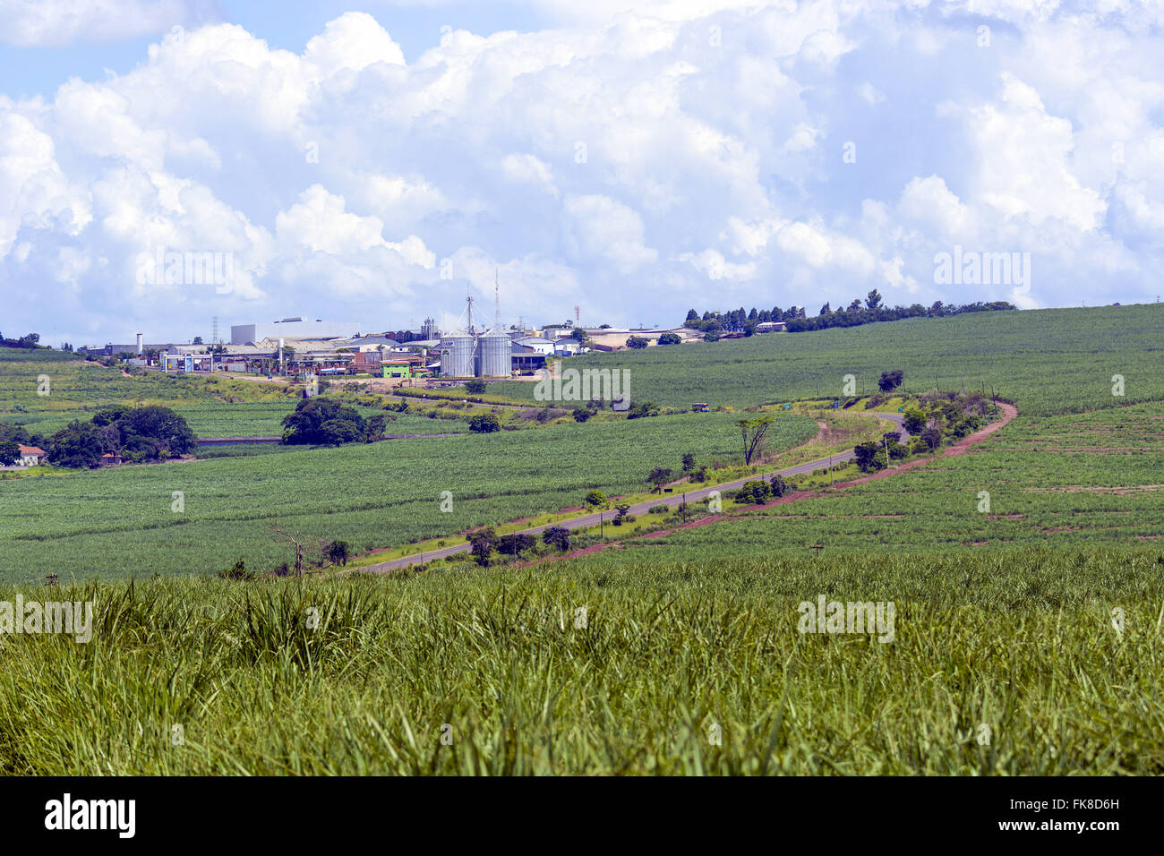Zuckerrohr-Plantage mit Stadtregion nach unten Stockfoto