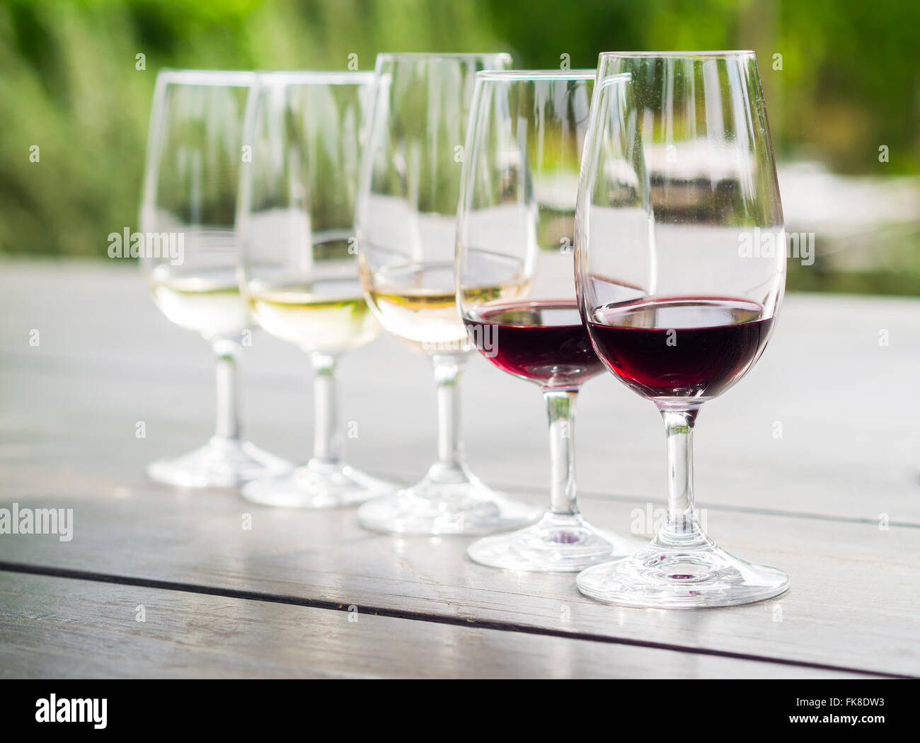Weinprobe in Südafrika. Von vorne: Blanc de Noir, Chardonnay, Cabernet Sauvignon, Merlot, Sauvignon Blanc. Stockfoto