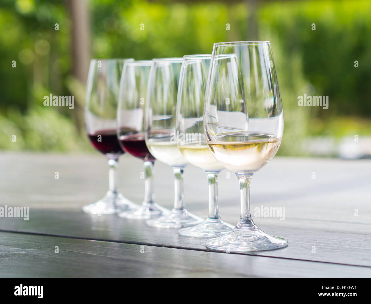 Weinprobe in Stellenbosch, Südafrika: Blanc de Noir, Chardonnay, Sauvignon Blanc, Merlot, Cabernet Sauvignon. Stockfoto