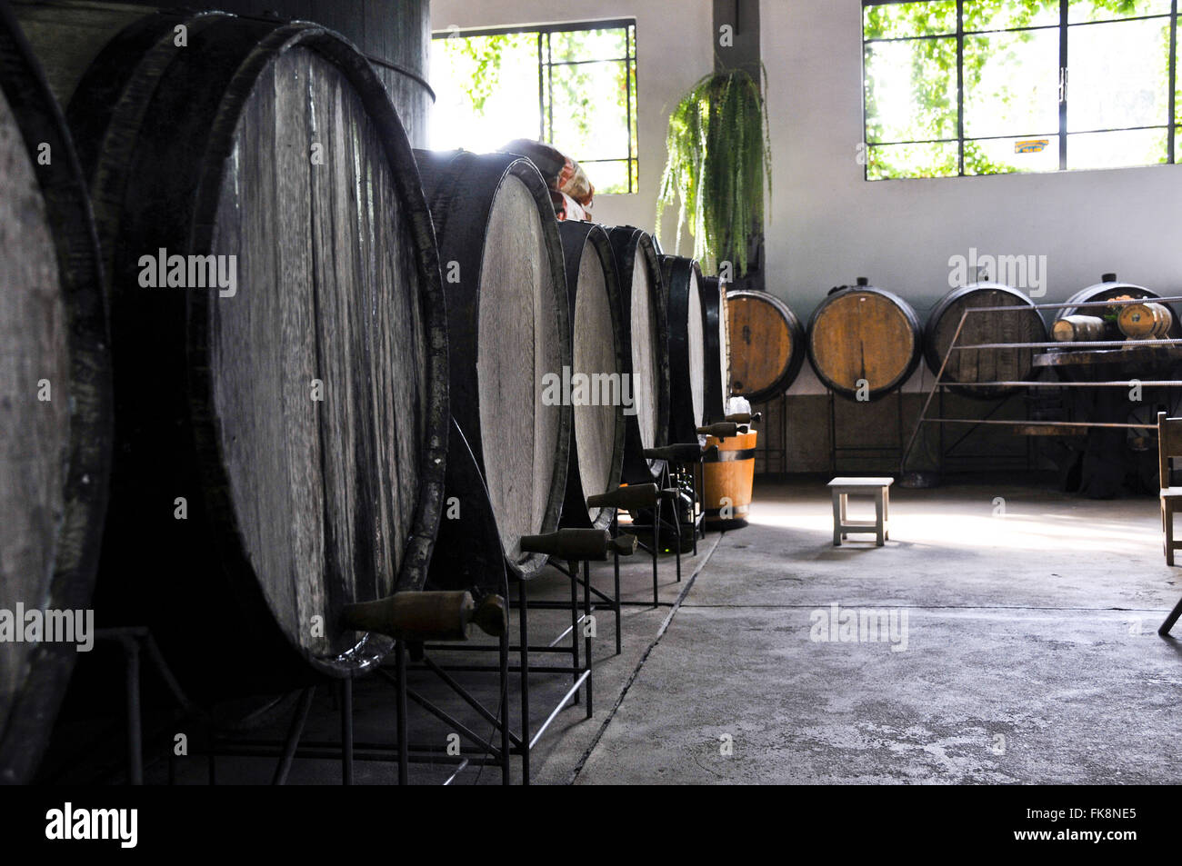 Fässer von Cachaca in Zuckerrohr Mühle - Region der Serra da Mantiqueira Stockfoto