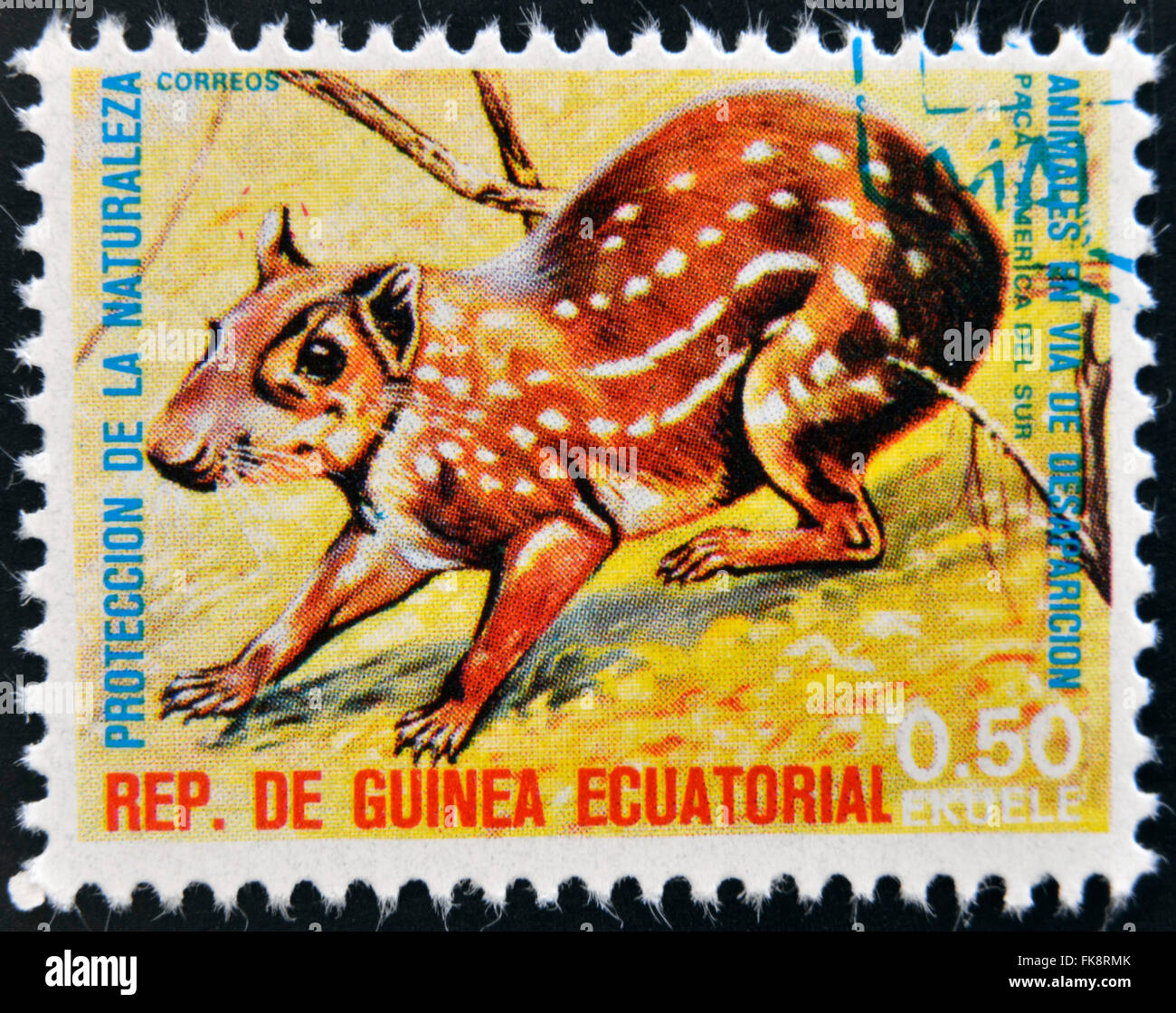 ÄQUATORIAL GUINEA - CIRCA 1974: Briefmarke gedruckt in Guinea gewidmet vom Aussterben bedrohte Tiere, Shows Tiefland Paca, Südamerika Stockfoto