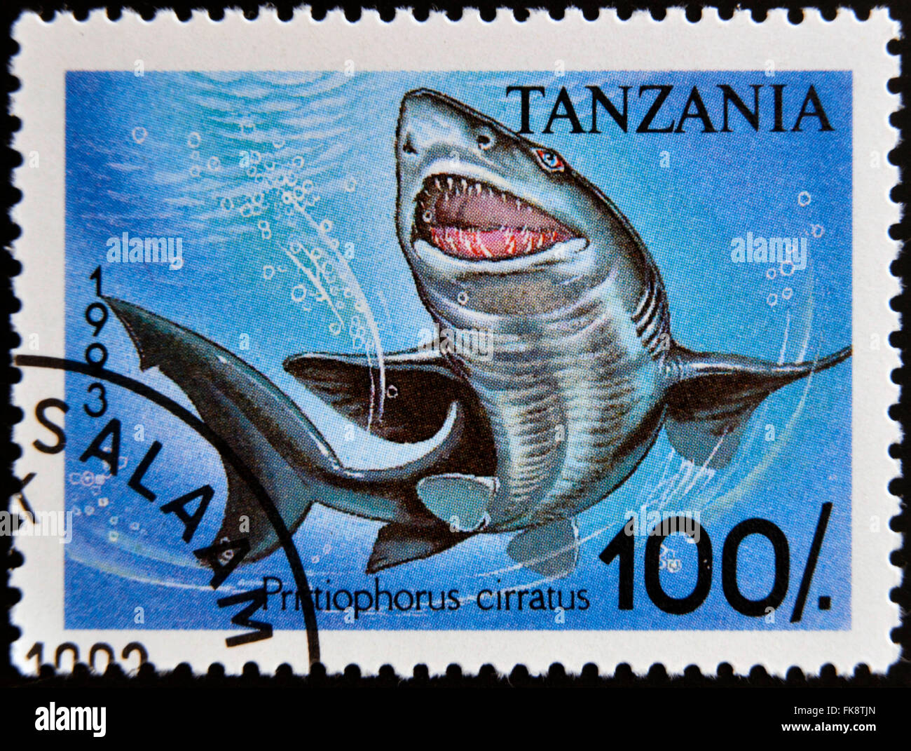 Tansania - ca. 1993: Briefmarke gedruckt in Tansania zeigt Longnose sägeähnlichen, Pristiophorus Cirratus, ca. 1993 Stockfoto