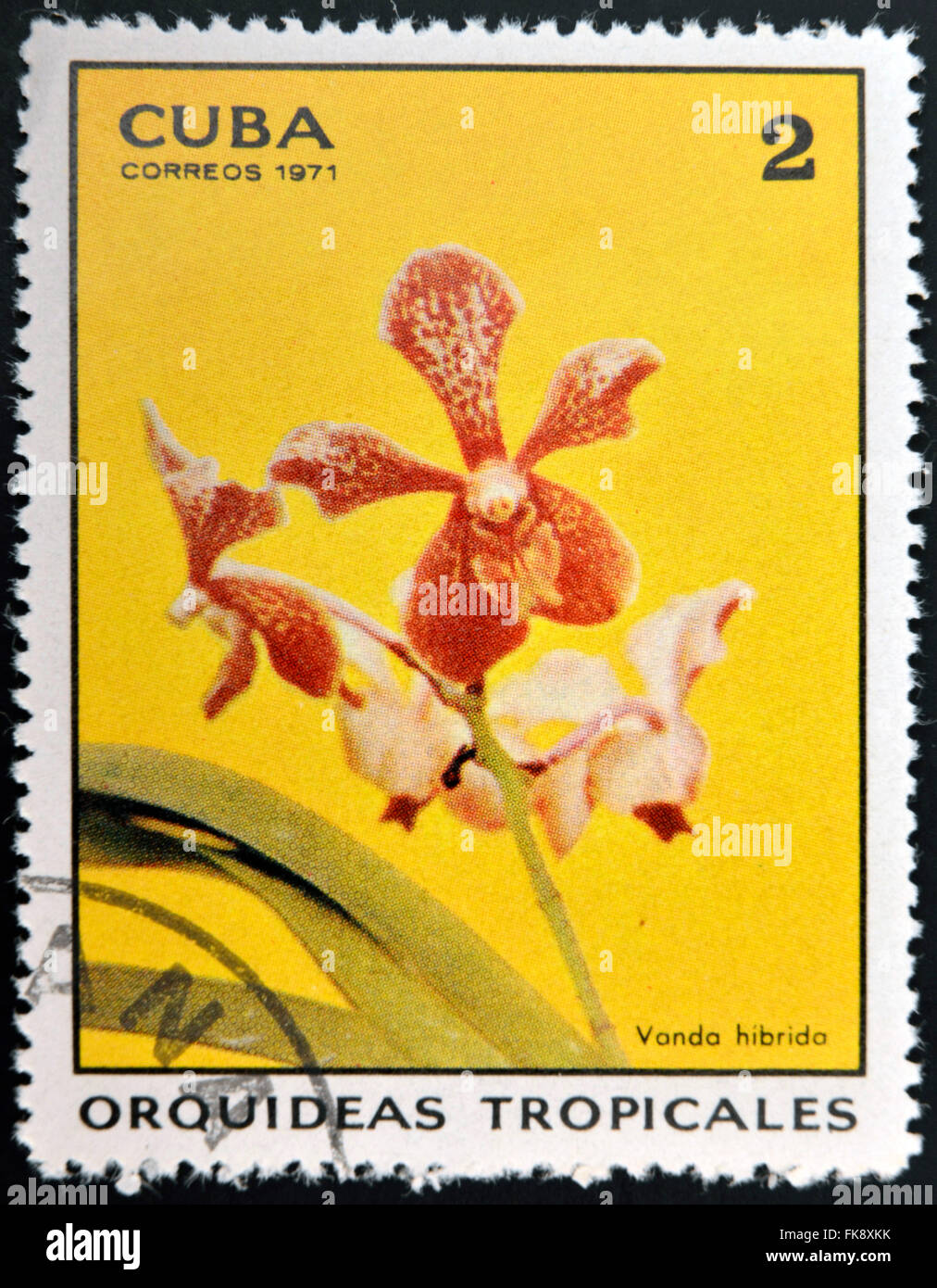 Kuba - ca. 1971: Eine Briefmarke gedruckt in Kuba gewidmet tropischen Orchideen zeigt Vanda Hibrida, ca. 1971 Stockfoto