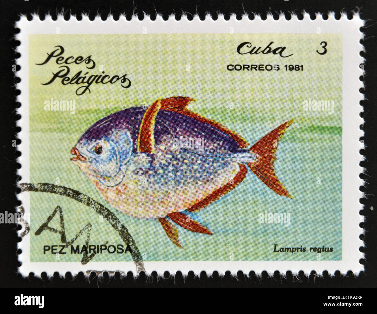 Kuba - ca. 1981: A Briefmarke gedruckt in Kuba zeigt eine Moonfish mit der Aufschrift 'Lampris Regius' aus der Serie "Pelagische Fische" Stockfoto