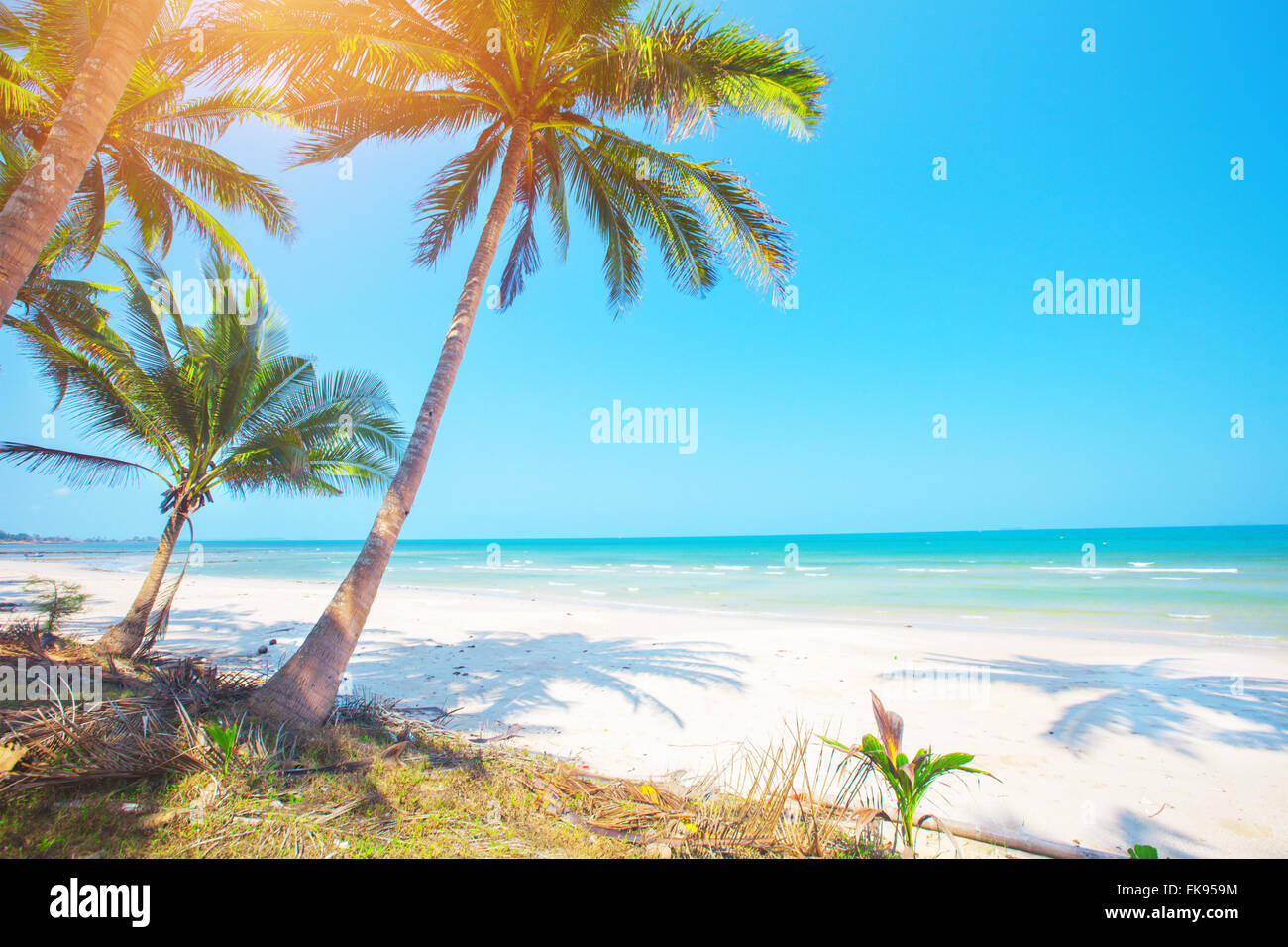 Palmen Prunk Und Perfektion Bh Palm Beach Ein Traumurlaub In Floridafeed