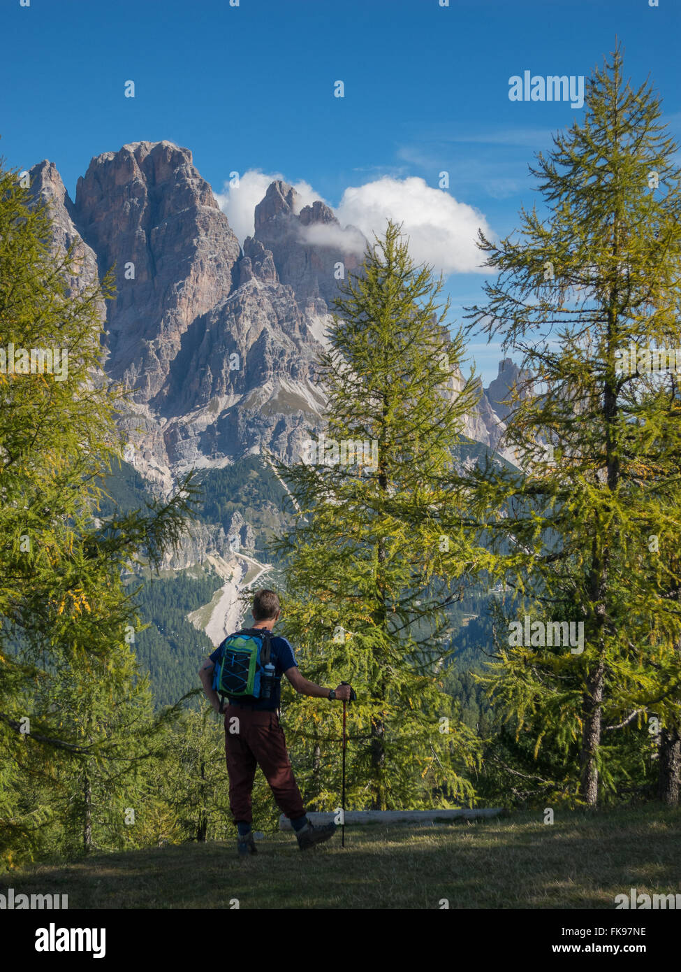 David bewundern, Monte Cristallo, Dolomiten, Provinz Belluno, Region Venetien, Italien Stockfoto