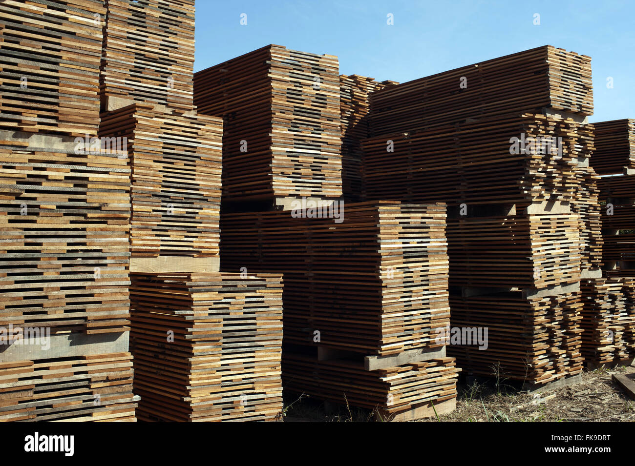 Holzlatten zertifiziertes Holz in Alta Floresta Stockfoto