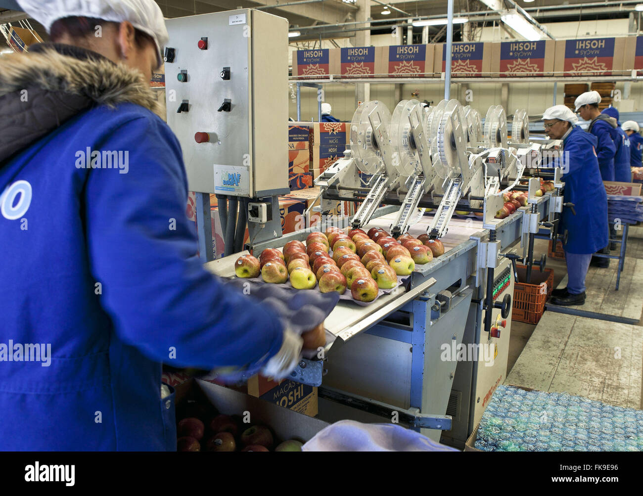 Verarbeitung und Verpackung von Krankentragen auf Markt - Verpackung Haus Stockfoto