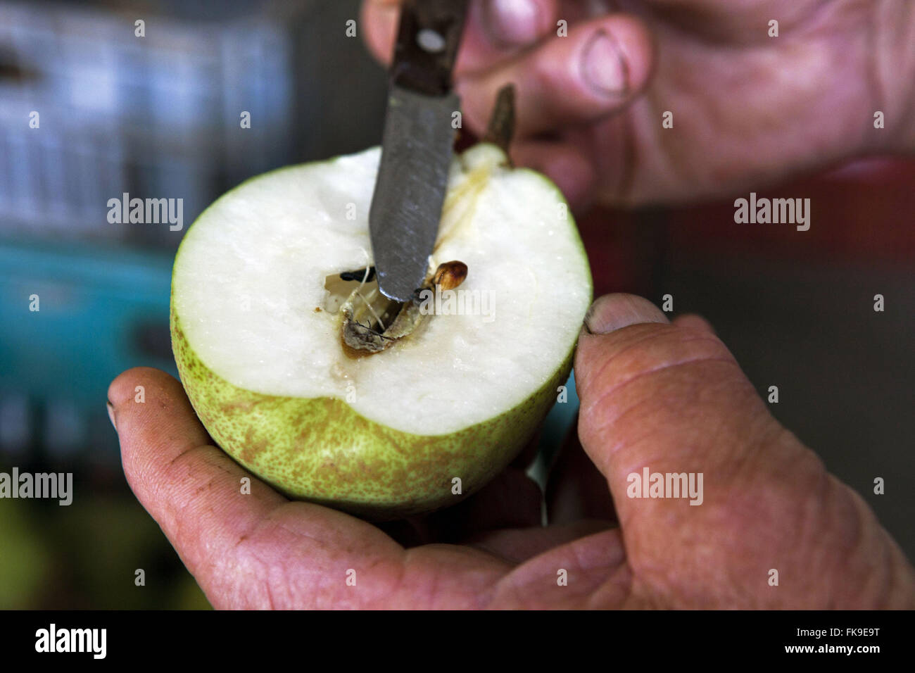 Birne in zwei Hälften geschnitten Stockfoto