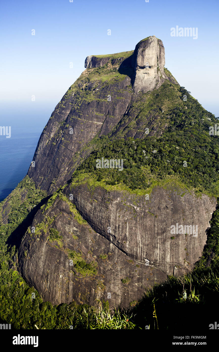 Pedra da Gávea im Tijuca Wald Stockfoto