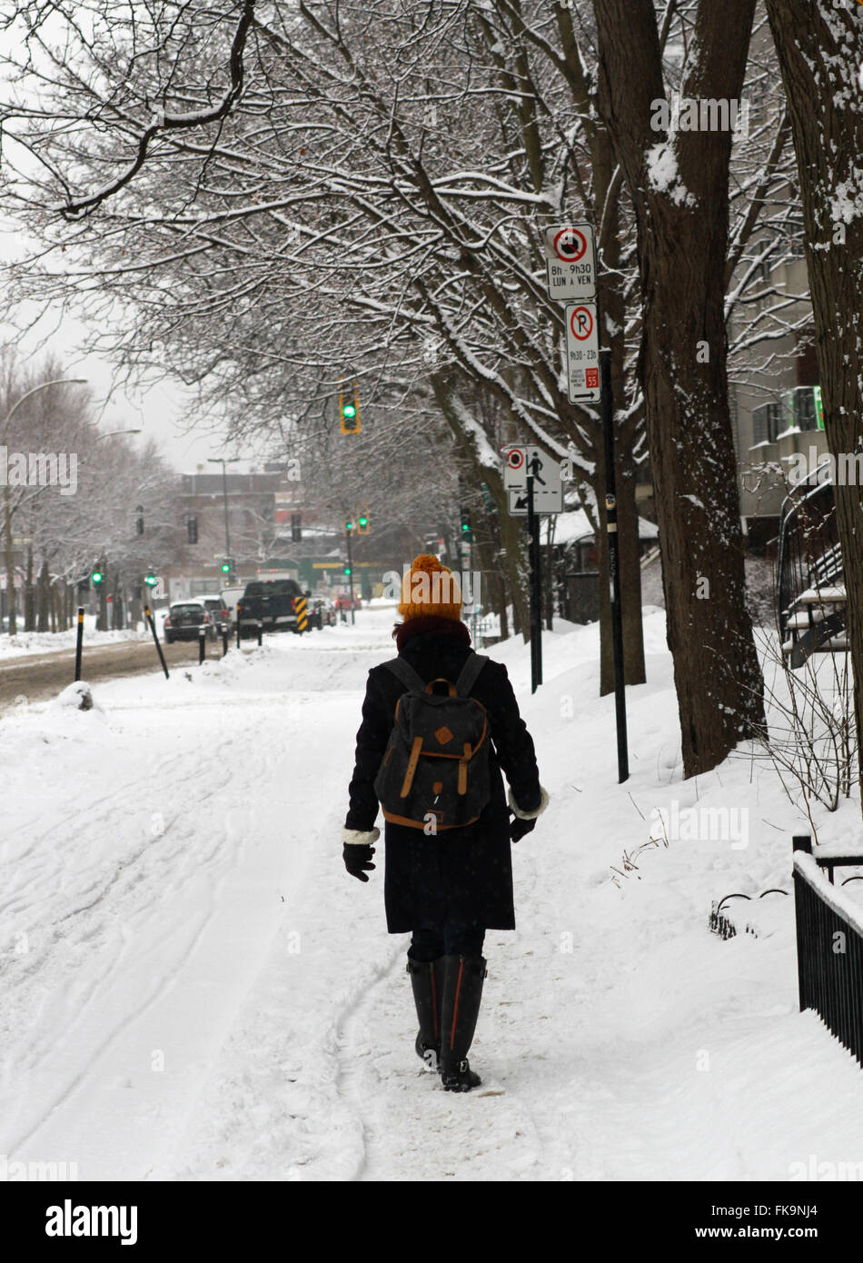 Montreal, Quebec, Kanada. 7. März 2016. Kanada Wetter: Das Plateau in Montreal, Kanada que 7. März 2016. Bildnachweis: Lee Brown/Alamy Live-Nachrichten Stockfoto