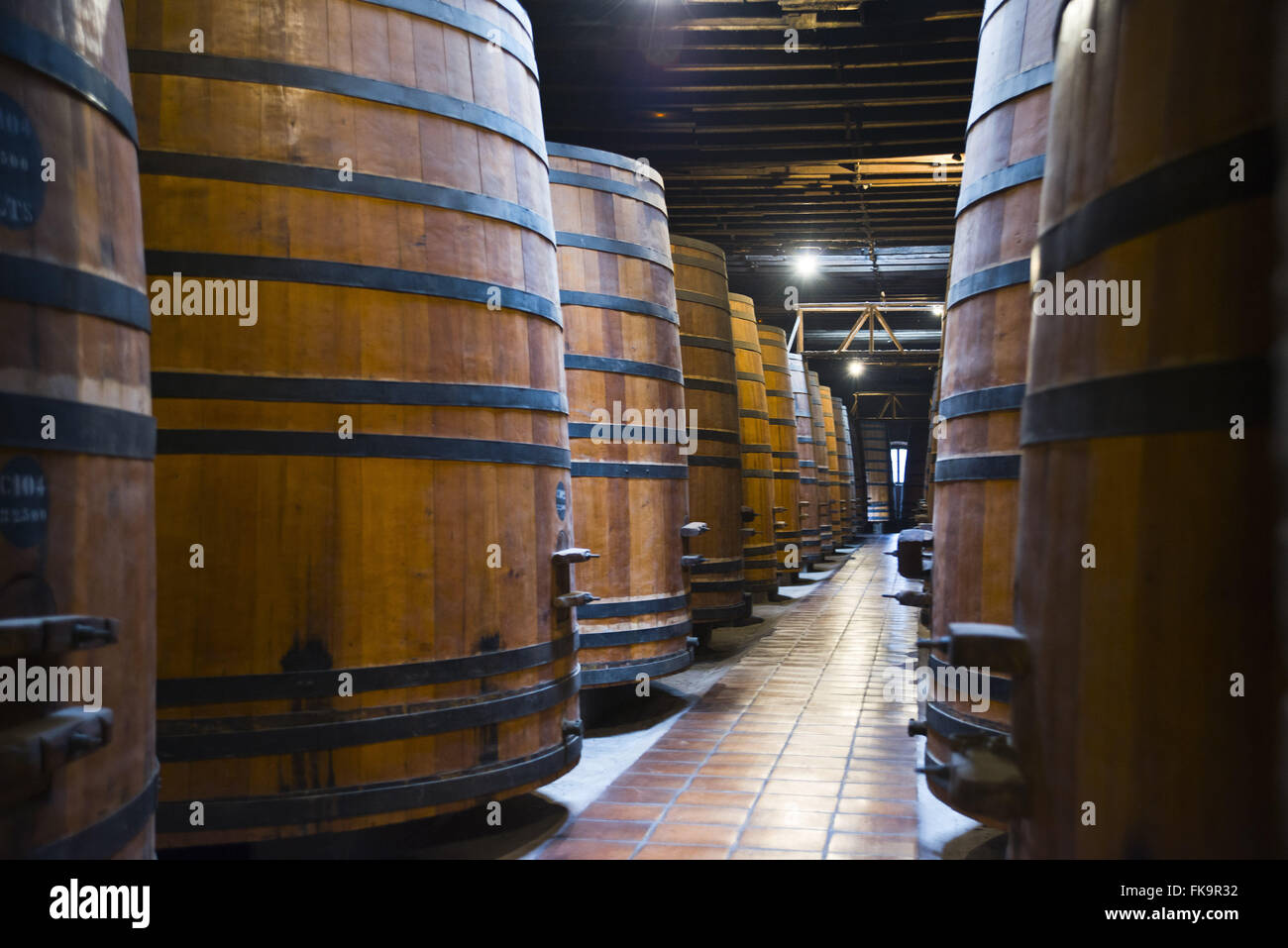 Eichenfässern für die Alterung Wein Stockfoto