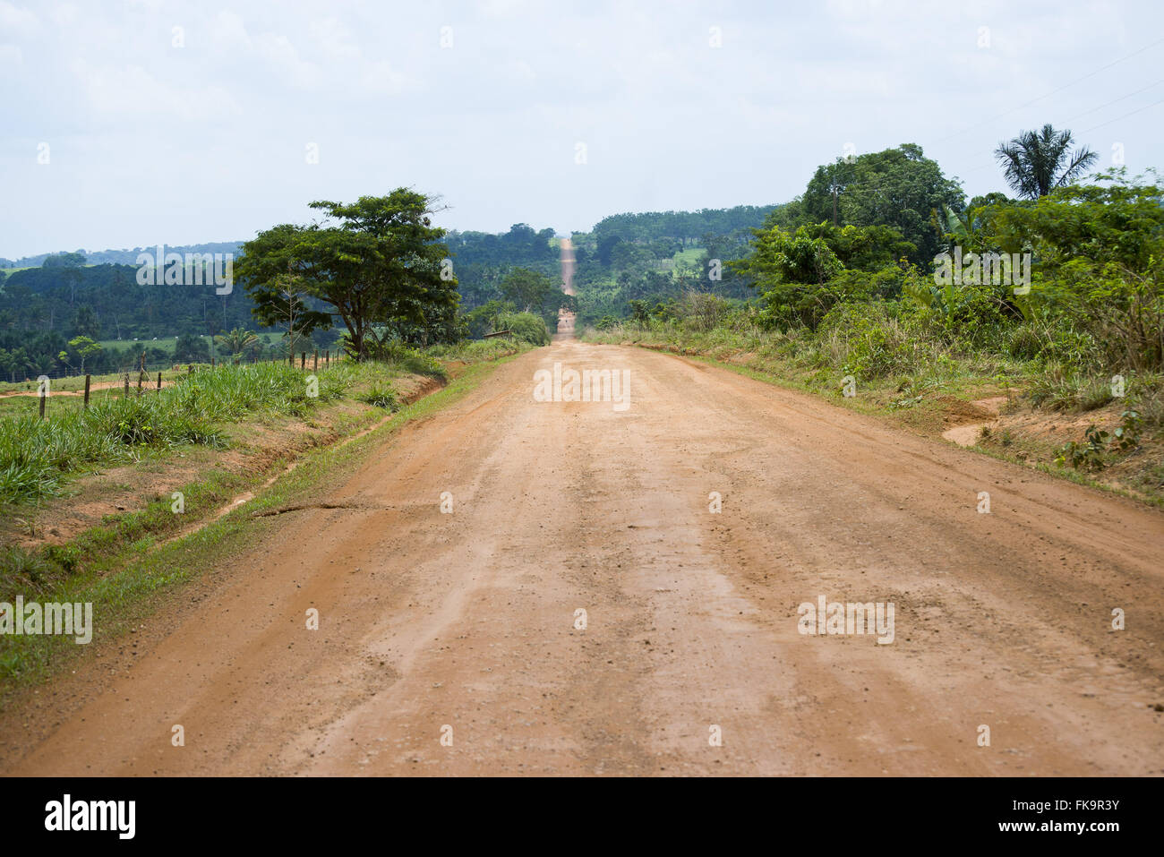 Feldweg im Amazonas-Gebiet Stockfoto