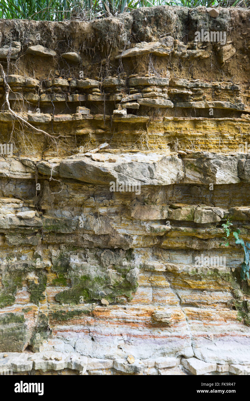 Profilboden gebildet von Sedimentgestein Stockfoto