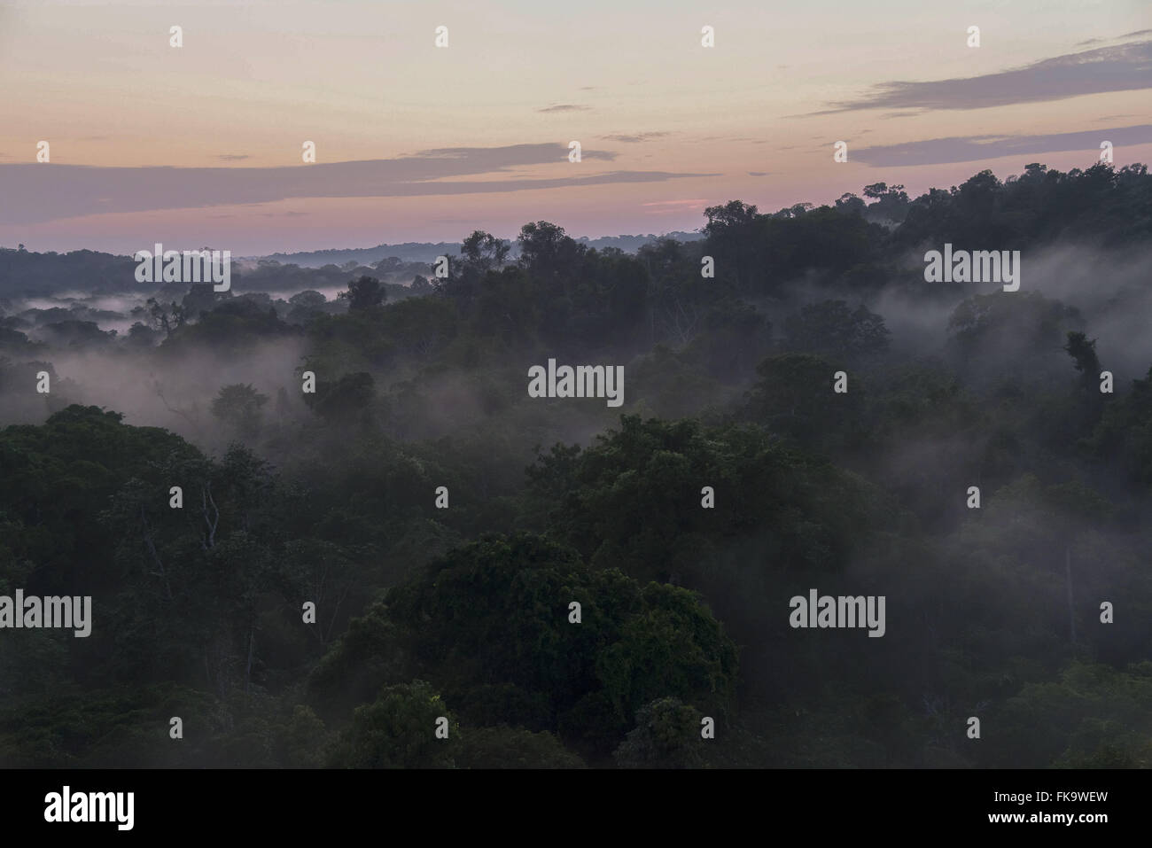Morgendämmerung auf Amazon Stockfoto