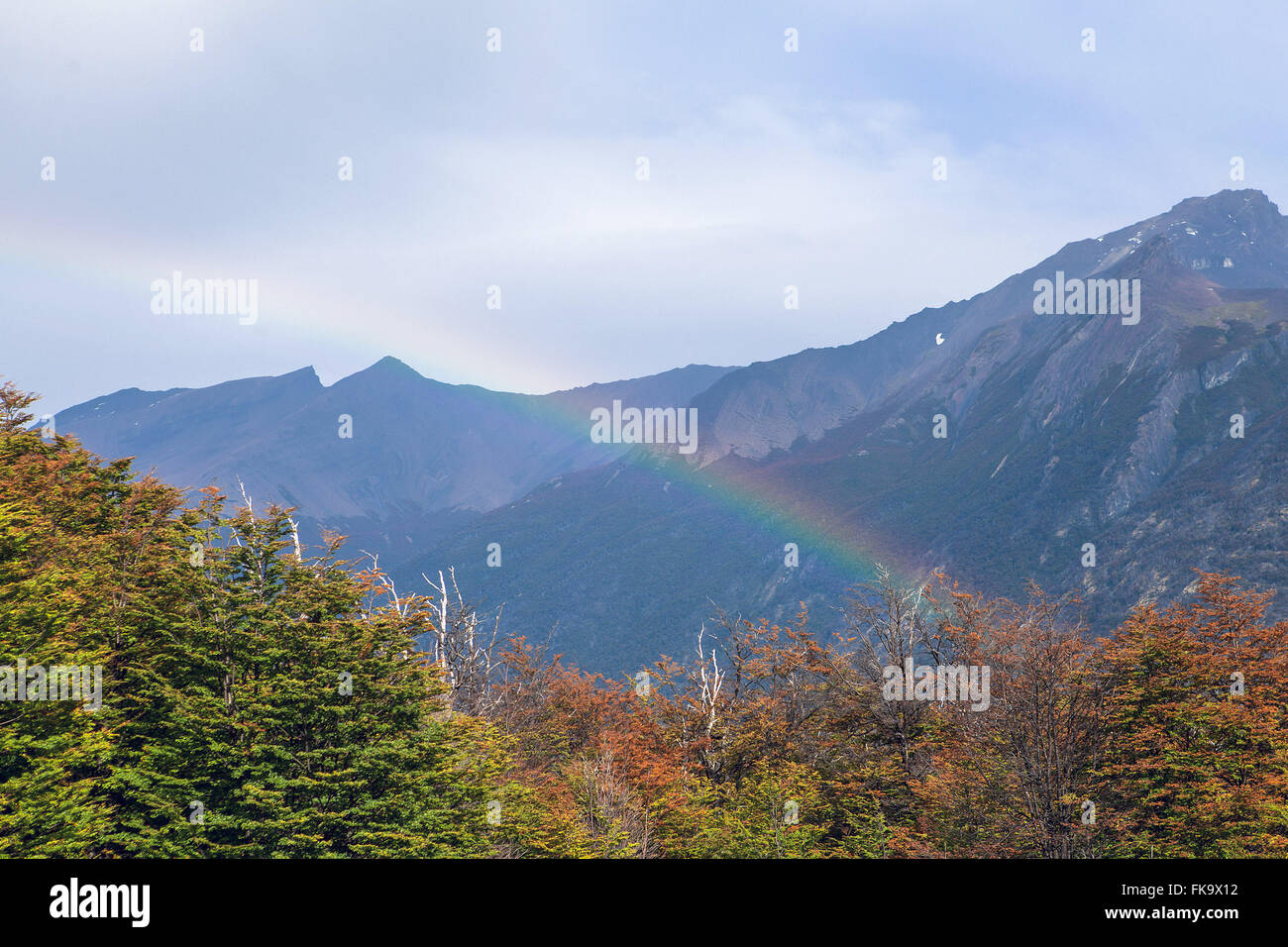 Nationalpark Los Glaciares - Perito Moreno Stockfoto