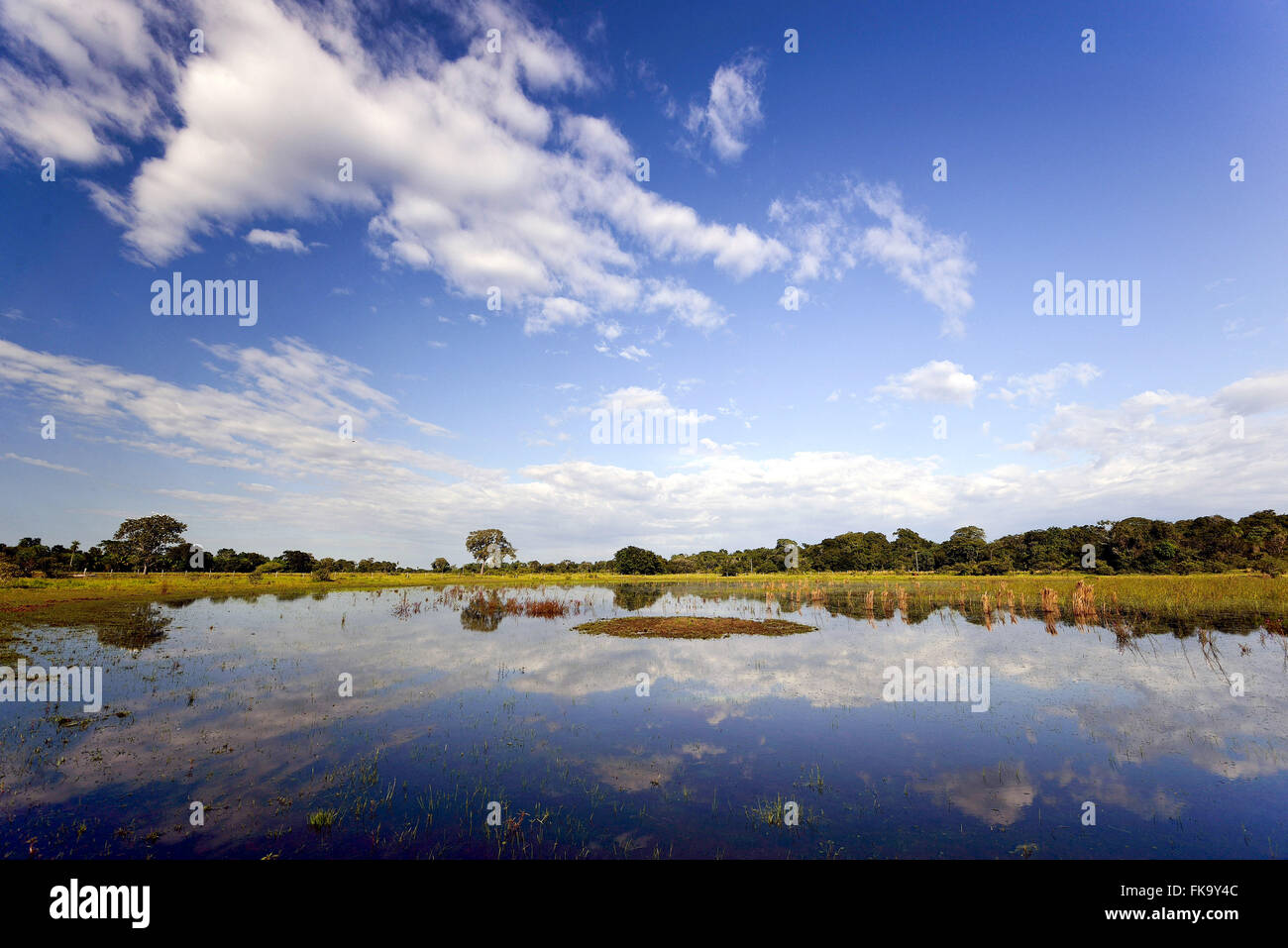 Bauernhof Landschaft mit Seengebiet von?? Regen-Ursprung im südlichen Pantanal Stockfoto