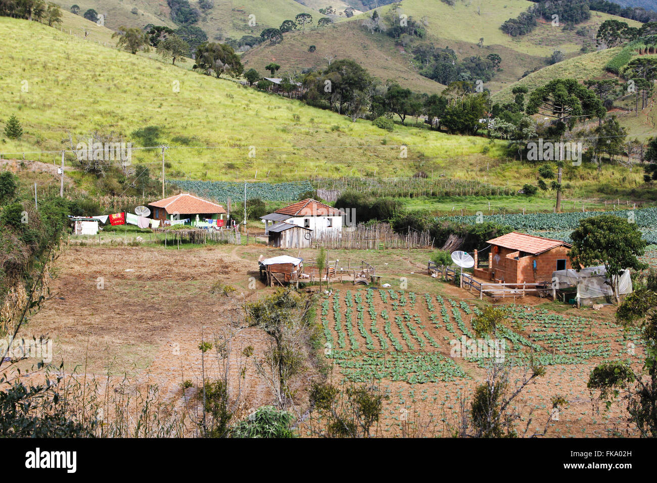 Horta auf Kleinbetrieb auf dem Land - der Region der Serra da Mantiqueira Stockfoto