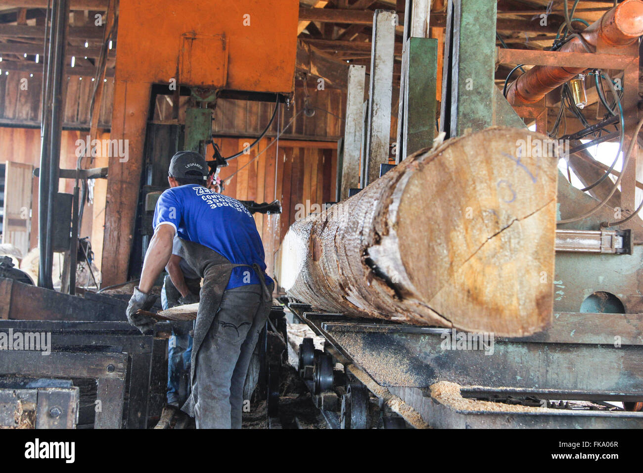 Arbeiter im Sägewerk Holz hacken Stockfoto