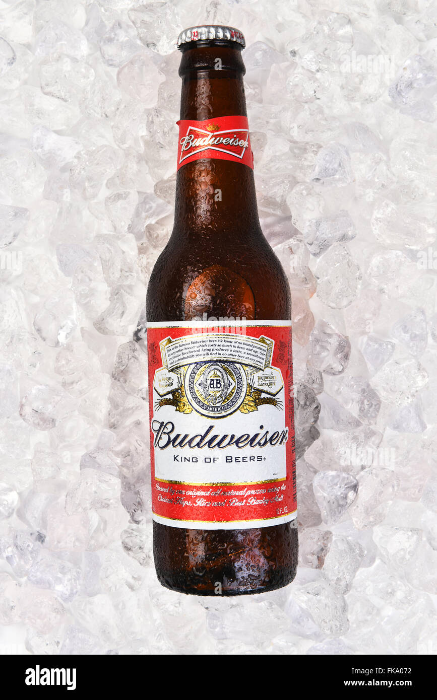 Nahaufnahme einer Budweiser Beer Flasche auf einem Bett aus Eis. Hochformat. Stockfoto