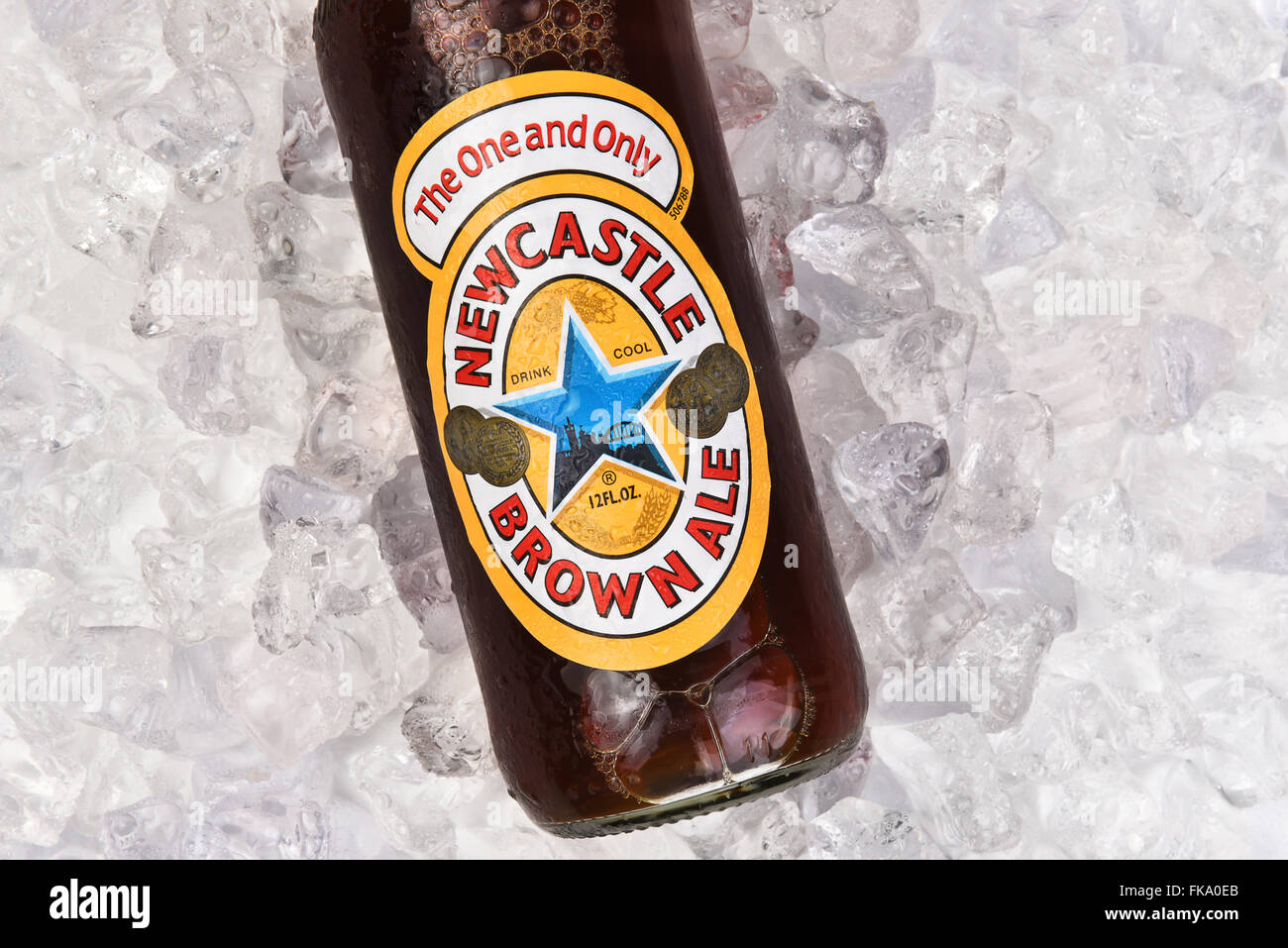 Newcastle Brown Ale auf einem Bett aus Eis. Label-Nahaufnahme im Querformat. Stockfoto