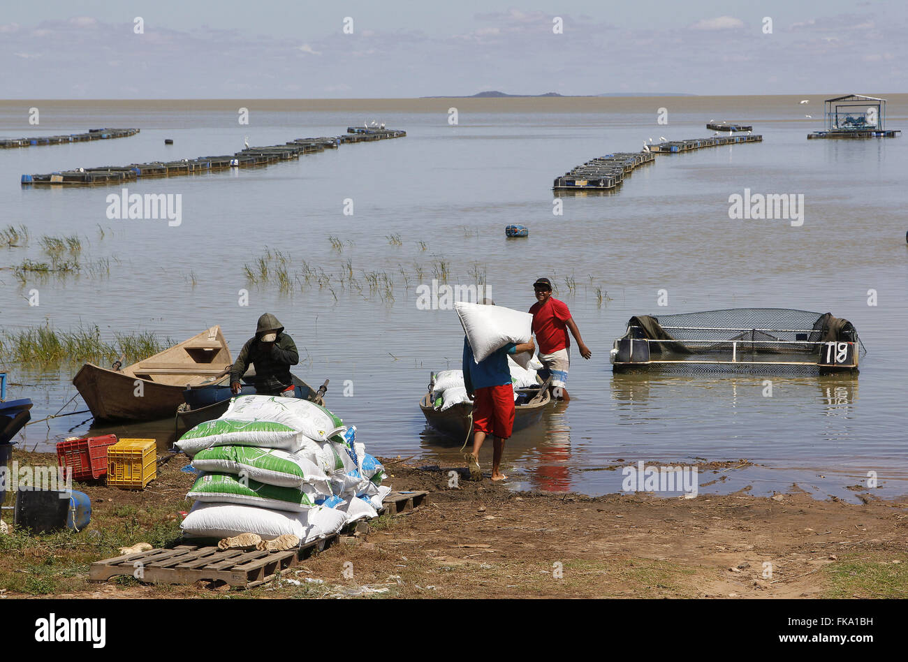 Arbeiter tragen Ration für Fische auf See Kraftwerk Sobradinho Stockfoto