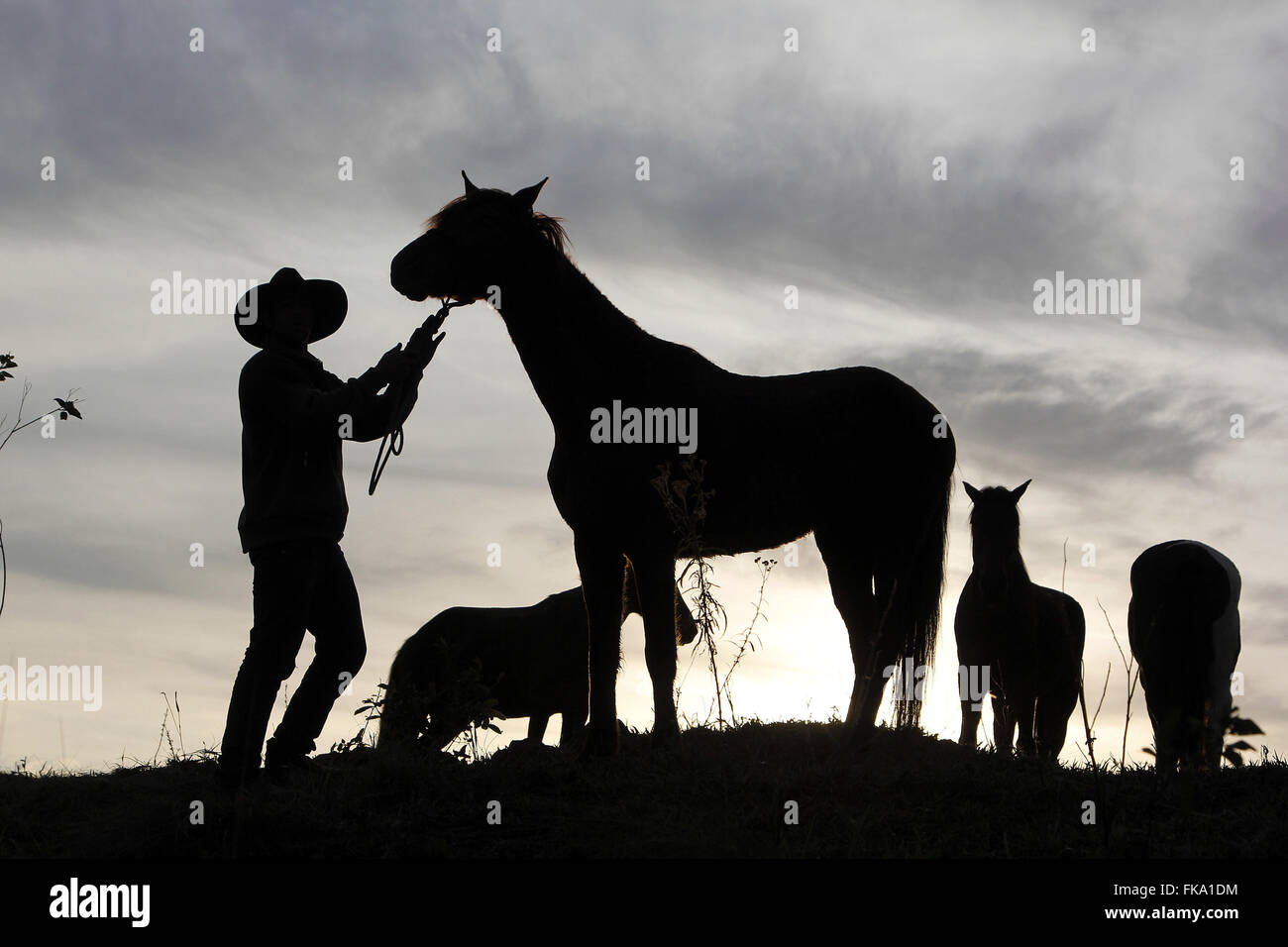 Ritter sammelt Pferde Sattel nach der Landung während des Pilgerweg des Glaubens Stockfoto