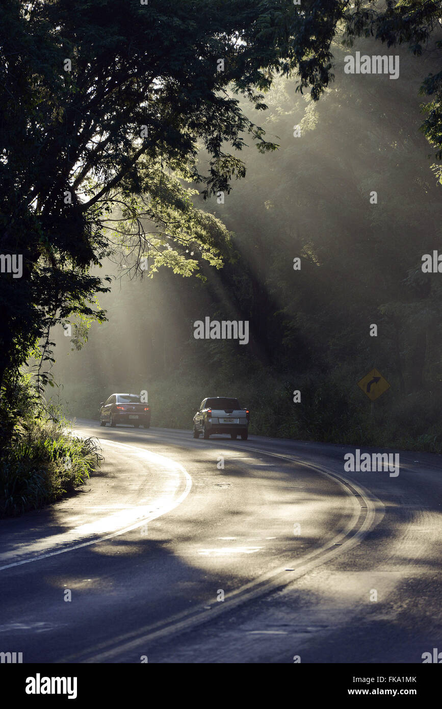 Raios de Sol da Manh"Em Curva da Rodovia BR-282 Stockfoto