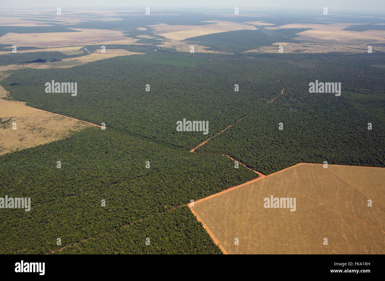 Luftaufnahme des Gebiets erhalten und Fläche für die Landwirtschaft in der Mitte Savana entwaldet zu begrenzen Stockfoto