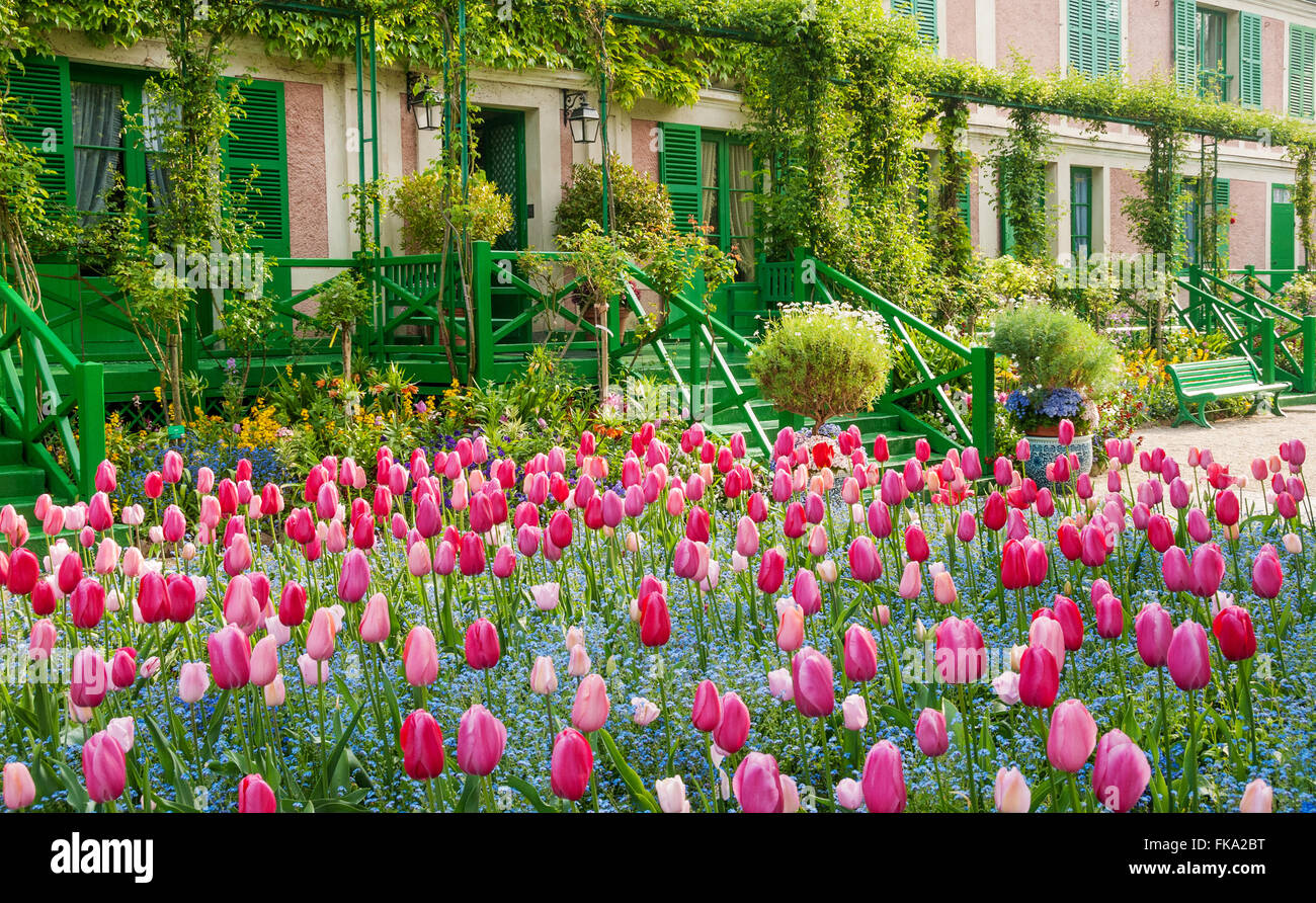 Die Vorderseite des Monets Haus in Giverny Frankreich mit Hunderten von Tulpen im Frühling Stockfoto