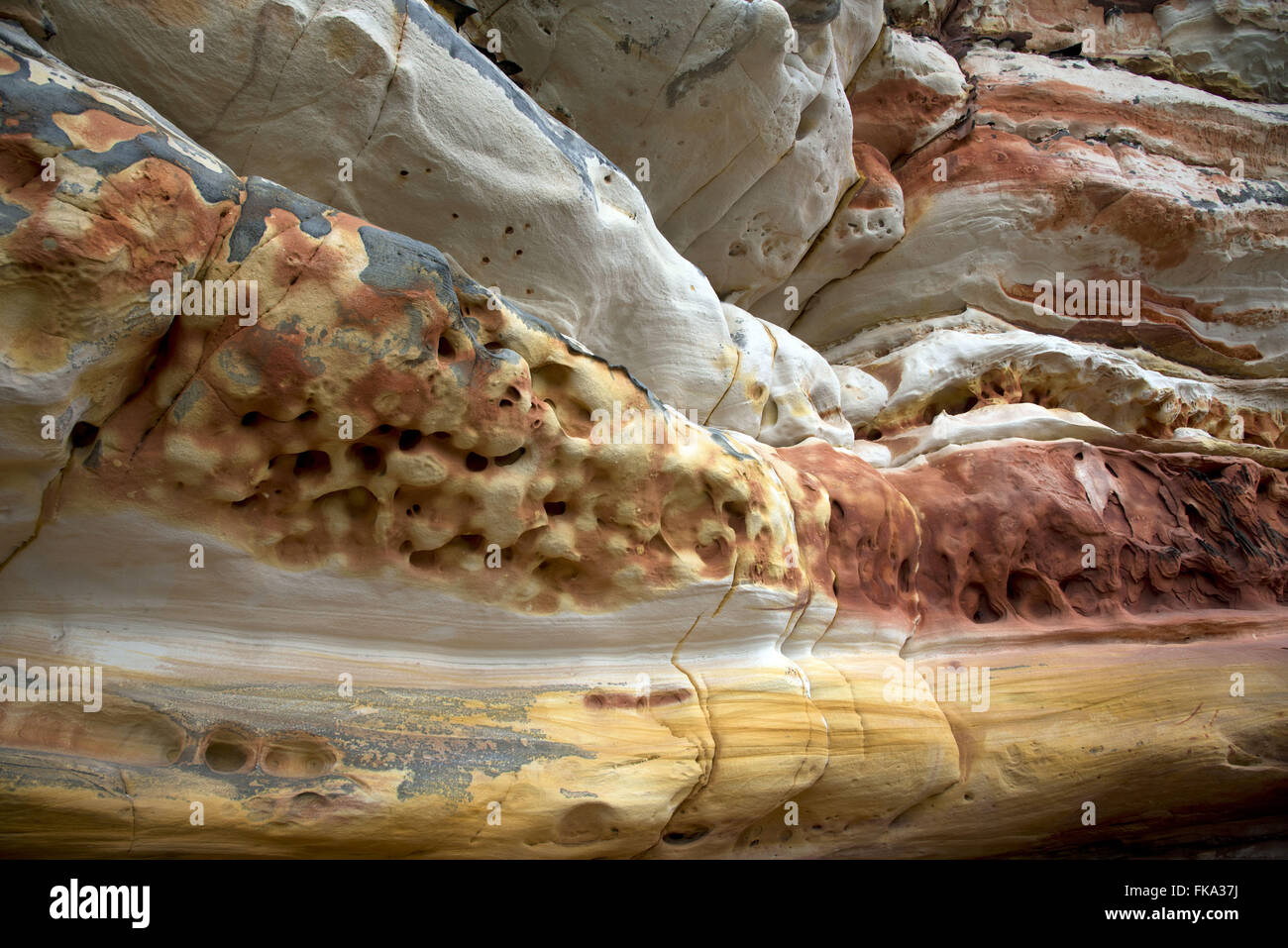 Farbige Schichten von Sandstein, bekannt als Sandstein Lapias im Catimbau Nationalpark Stockfoto