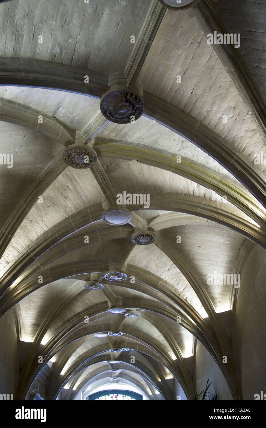 Gerippten Gewölbe der Vorhalle des Schloss Chenonceau - Loire-Tal Stockfoto