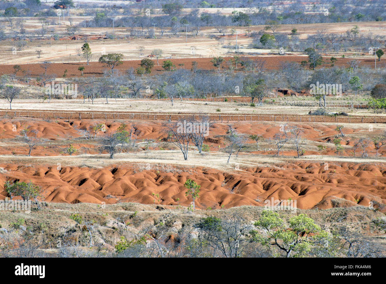 Verödung des Bodens in der Region von Gilberton - südlichen Piauí Stockfoto
