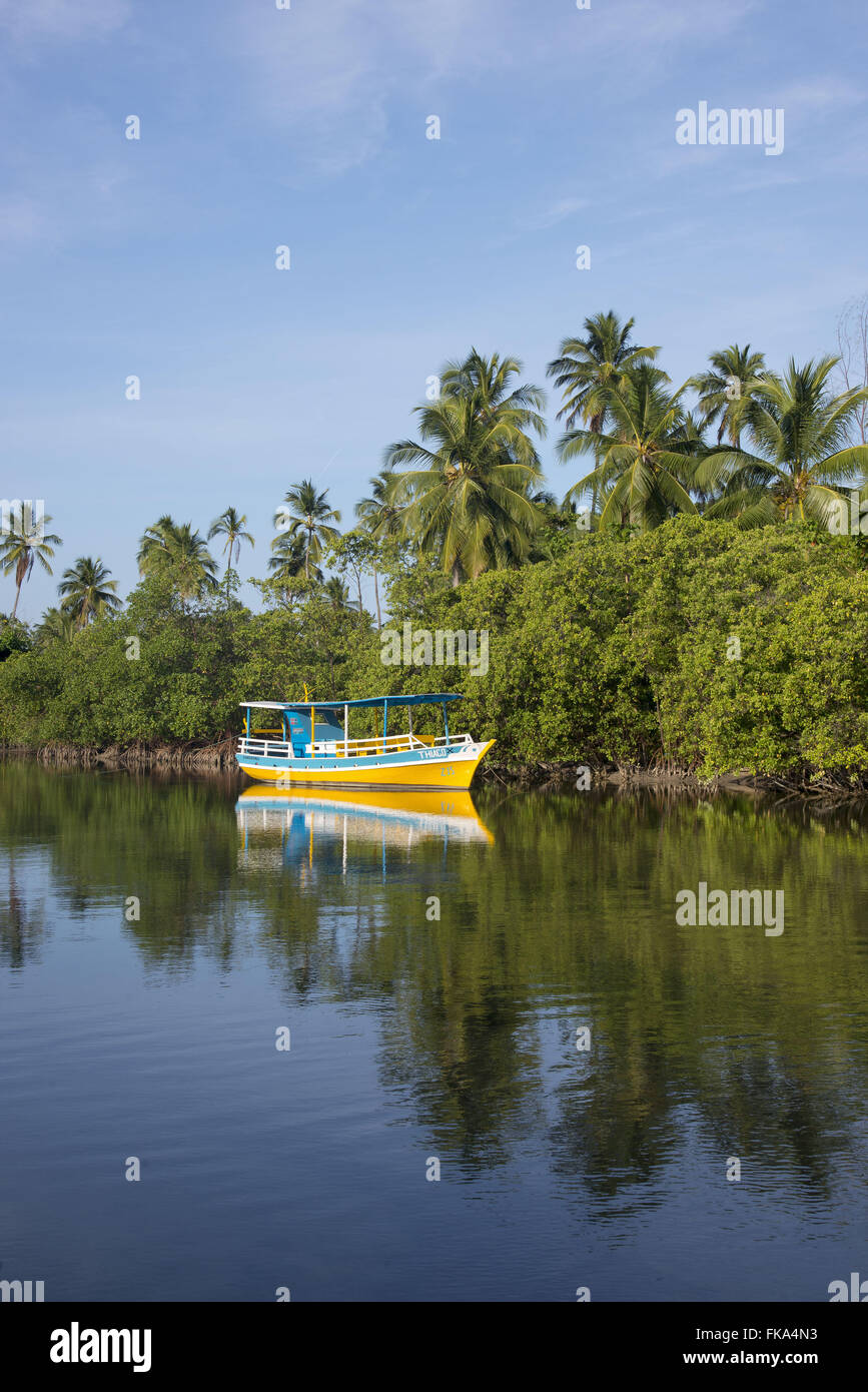 Sightseeing-Boot angedockt in Rio Maragogi Stockfoto