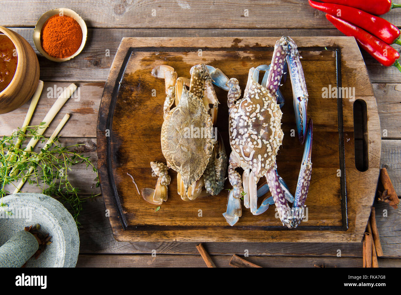 Blume-Krabbe, blaue Krabben, blauen Schwimmer Krabbe, blaue Manna Krabbe, Sand Krabben, Portunus Pelagicus, Portunus Stockfoto