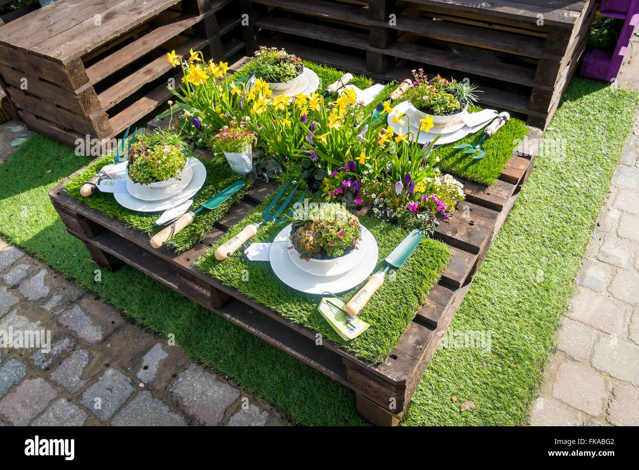 Gartencenter Display Frühlingsblumen dargelegt, wie ein Picknick mit vier Gedecke Stockfoto