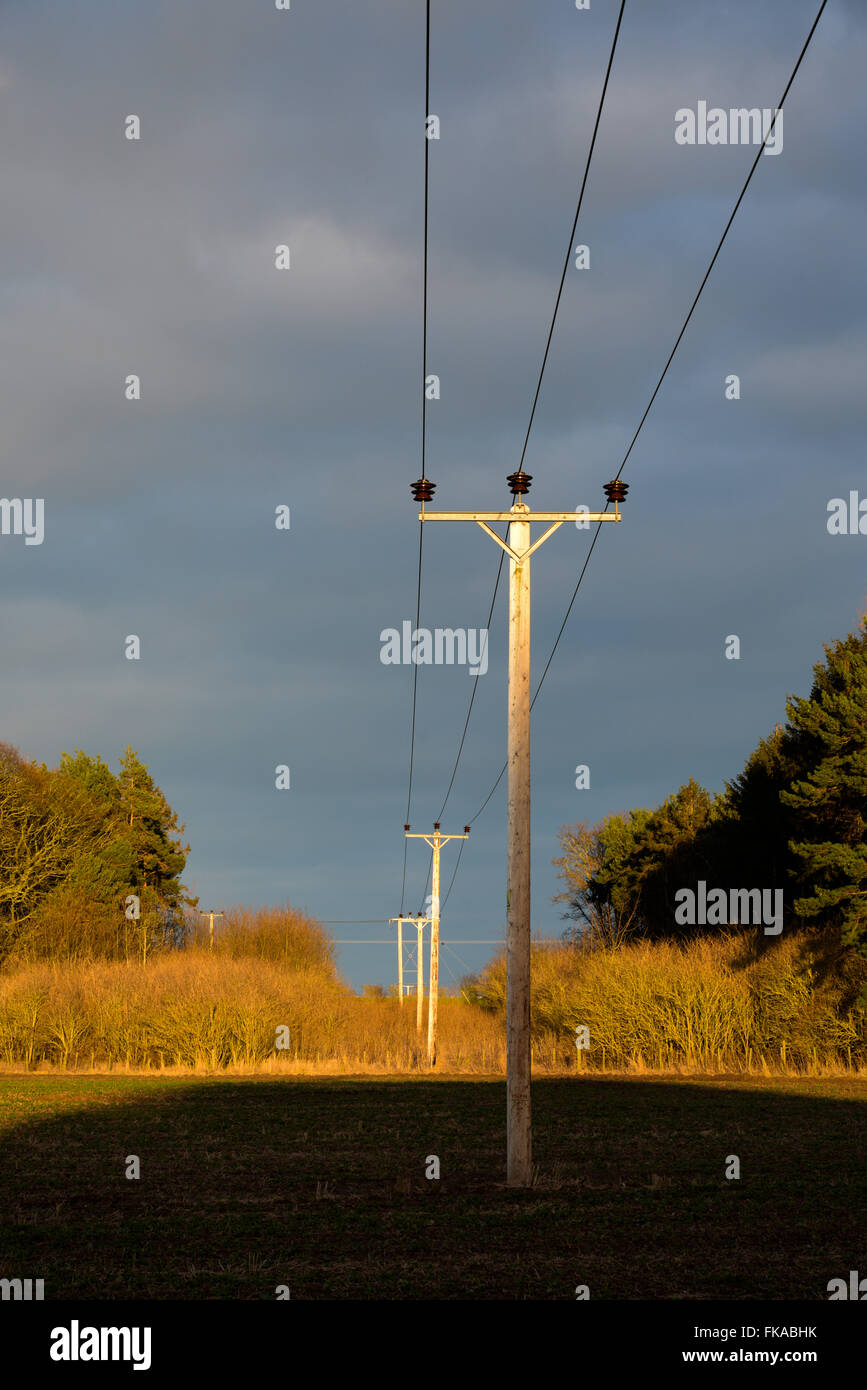 Powerlines Stockfoto